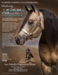 T_Starbuck_flyer_front.jpg